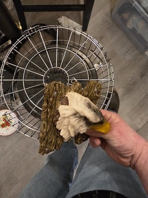 Eagle Head 3d Art