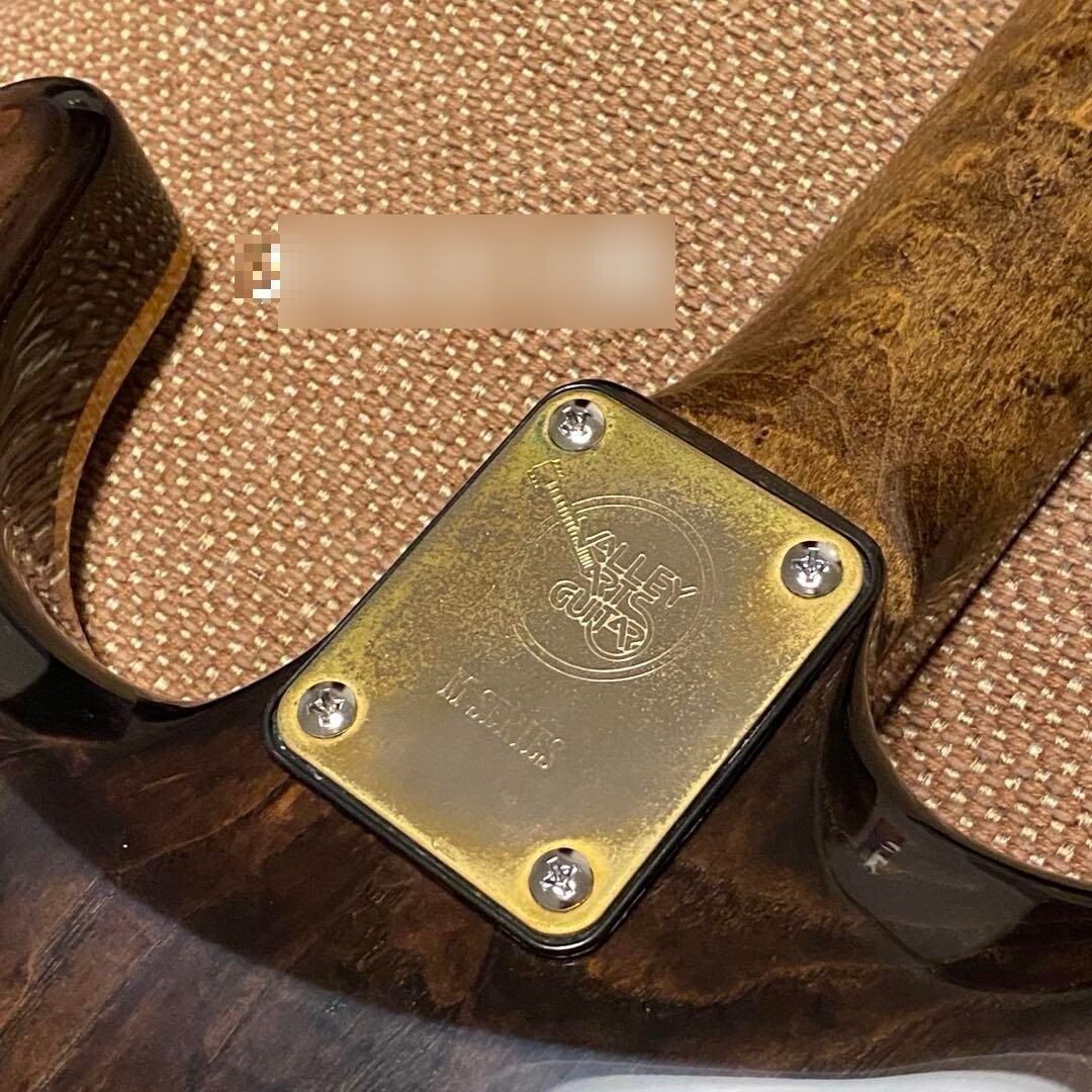 Electric Guitar Valley Arts M Series Custom Pro SRE270