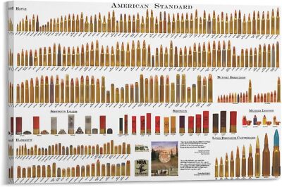 American Bullet Chart Poster Bullet Type Chart Canvas Painting Educational Chart