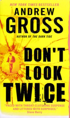 Don't Look Twice by Andrew Gross / 2010 Paperback Thriller