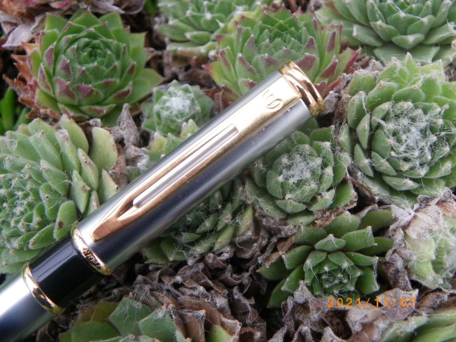 Waterman Executive stylo roller de prestige en acier brossé mat