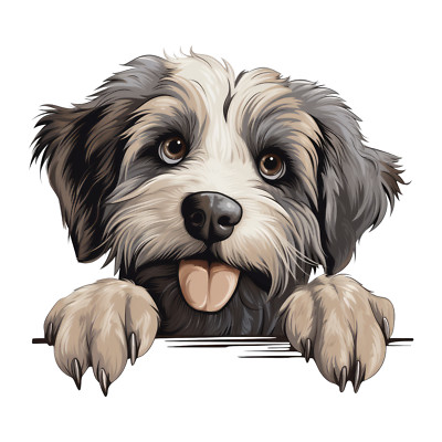 2x Berger de Picardie car sticker dog sticker