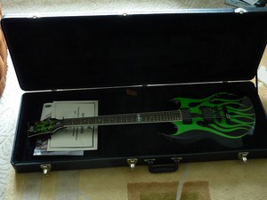 esp ltd grynch