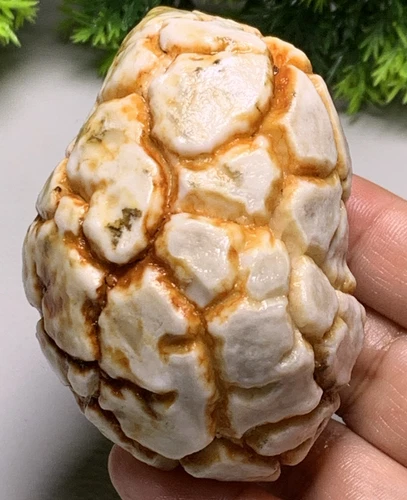 Natural Miraculous Gobi Jade Agate Weathering Stone Collection Specimens 176G