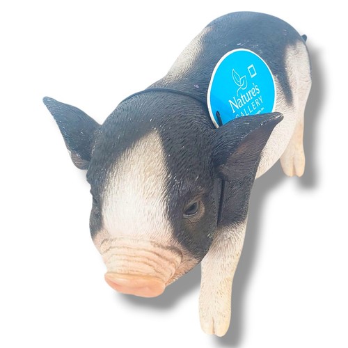 Stehendes Baby Schwein lebensecht Figur Statue Nature's Gallery Border Concepts - Bild 2 von 8