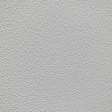 Toyota Mist Gray Leather Dye
