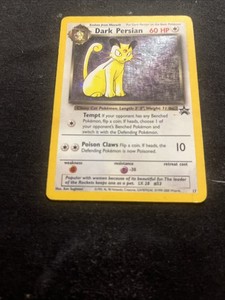 Dark Persian Holo | eBay
