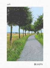 Path Needlepoint Kit or Canvas