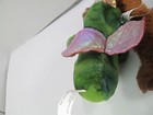 Bild 7 von 11