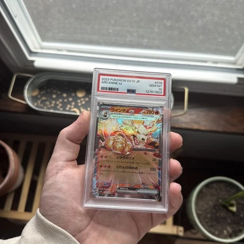 Pokémon TCG Arcanine ex 016/078 Sv1v: Violet Ex Double Rare Holo Japanese PSA 10