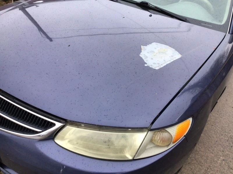 (LOCAL PICKUP ONLY) Passenger Right Fender Coupe Fits 99-03 SOLARA 503321 Foto 2 de 4