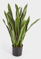 Artplants KüNstliche Sansevieria, Gelb - GrüN, Getopft, 95Cm