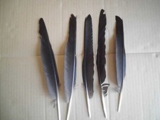 5  schwarze Vogelfedern  23 - 28  cm  lang