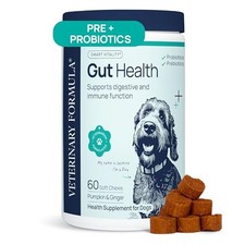 Veterinary Formula Gut Health Supplement for Dogs - Probiotic Chews with