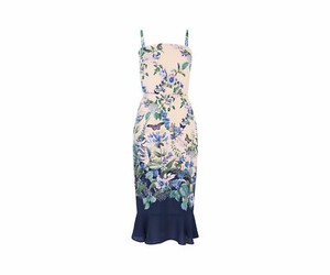 oasis fitzwilliam dress