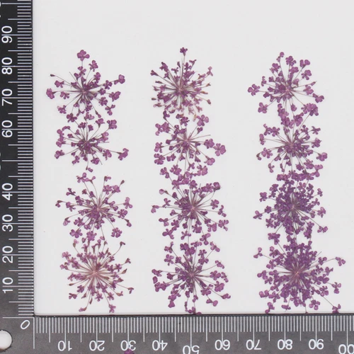 Dried Pressed Flowers Natural Epoxy Resin Candle Nail Art Scrapbooking Craft AU - Picture 141 of 210