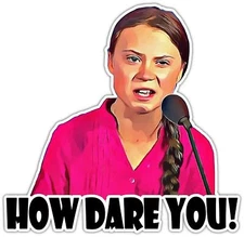 How dare you sticker Greta Thunberg skate cell laptop bumper vinyl decal