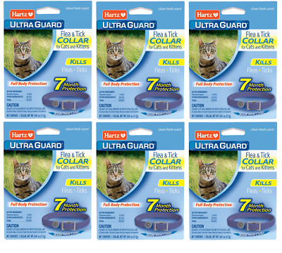Hartz UltraGuard Flea & Tick Collar, Purple (6 pack)