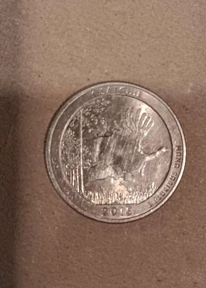Kisathie 2015 Quarter Rare Error - Image 2 of 3