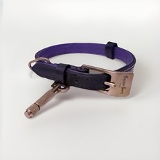 Buster + Punch Black & Purple Dog Collar with Brass Buckle & Detail