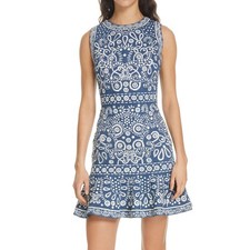 Alice + Olivia Rapunzel Mini Dress Embroidered Blue Denim Floral Dot Chambray 8