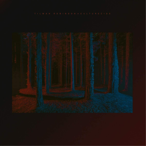 Tilman Robinson Culturecide (Vinyl LP) 12" Album