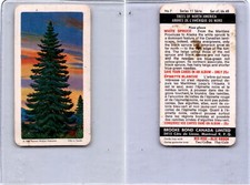 FC34-12 Brook Bond, Trees North America, 1968, #7 White Spruce