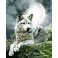 Paint By Numbers Adults kids Lonely Wolf Animals DIY Painting Kit 40x50CM Canvas
