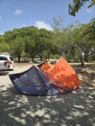 2024 Cabrinha Contra 15m Kite  - used only 4 Sessions — photo 2