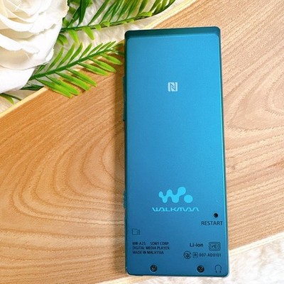 Sony Walkman NW-A25 16GB Hi-Res Audio Player Blue A Series Tested