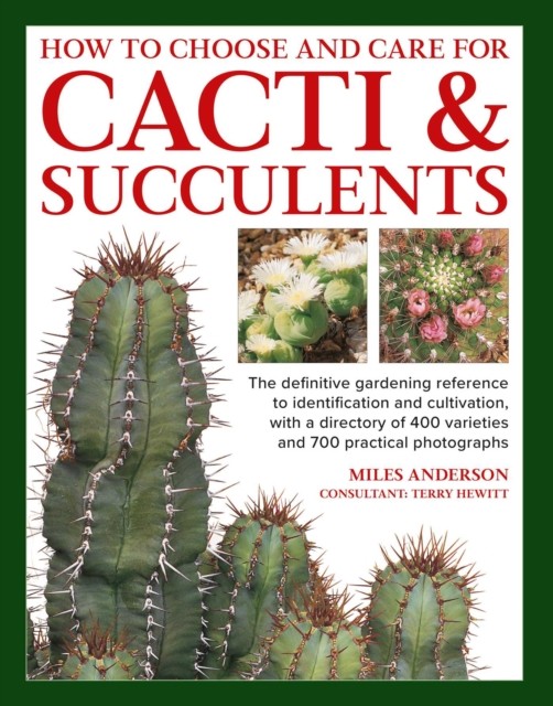 Cacti & Succulents