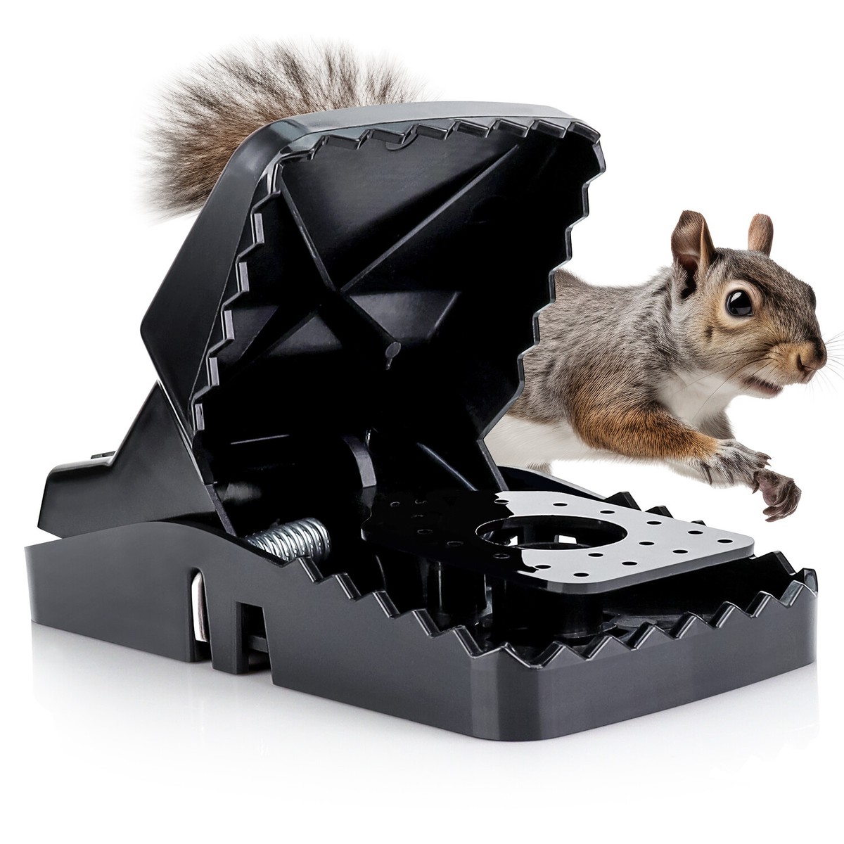 eXuby Squirrel Trap (2 pack) - Powerful Spring - 96% Instant