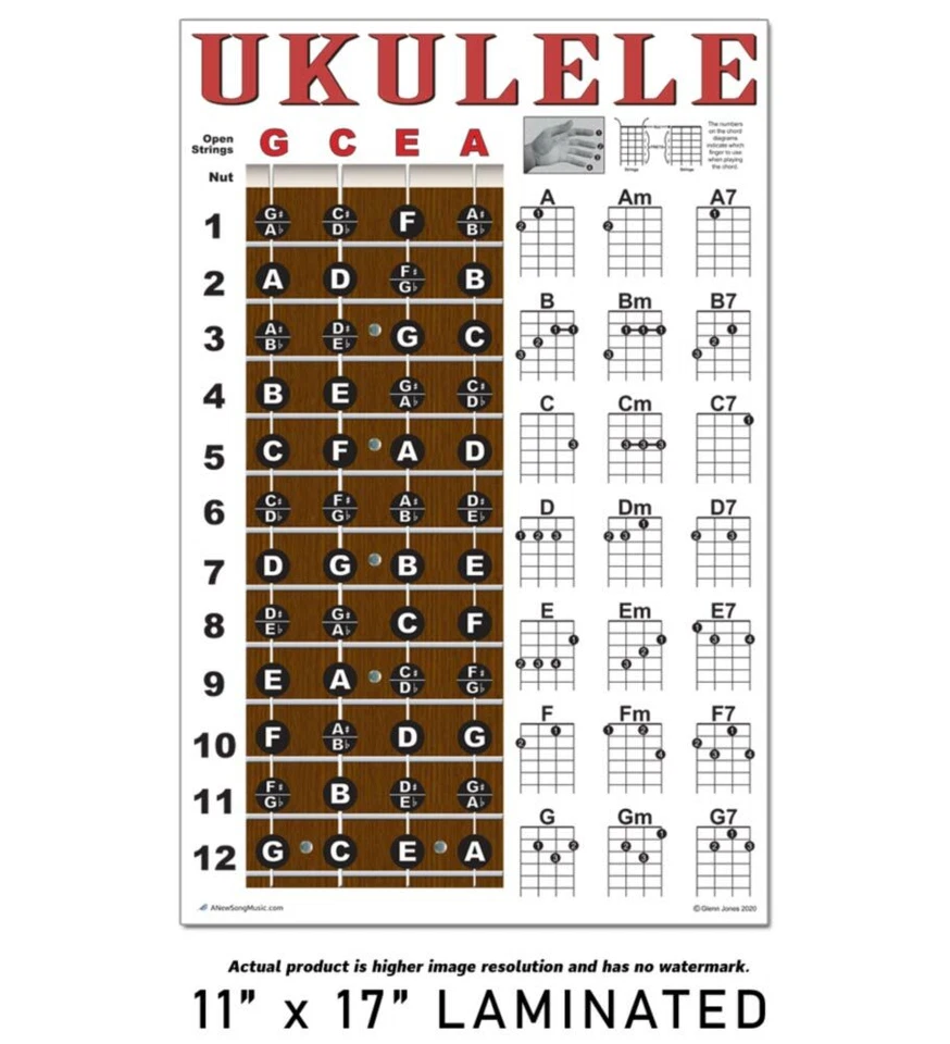 LAMINATED Ukulele Chord Chart Poster Chords Soprano Concert Tenor Beginner - Image 2 of 4