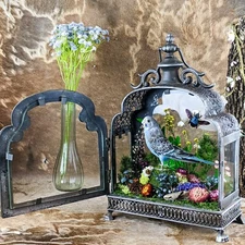 Parakeet Taxidermy Oddities Curiosities  Antique Style Display Collectible