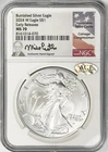 2024-W BURNISHED SILVER EAGLE EARLY RELEASES CASTLE SIGNATURE NGC MS70