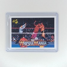 1990 Classic WWF The History of Wrestlemania - Ted DiBiase, Jake 