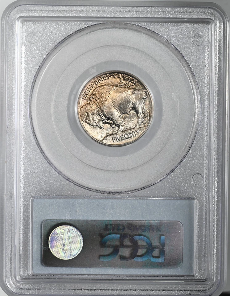 1913-P 5C BUFFALO NÍQUEL TIPO 1 "FILADELPHIA COMO NUEVO" GRADUACIÓN PROFESIONAL MS66 #13253411 TONIFICADO Foto 4 de 4