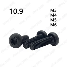 M3 M4 M5 M6 Black 10.9 Steel Torx Soket Pan Head Screws GB2672