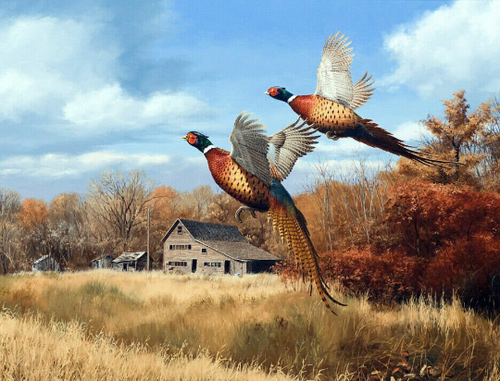 flying pheasant game bird country farm western ceramic tile mural backsplash - Picture 1 of 8