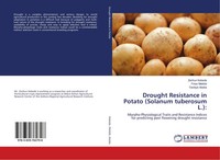 Zerihun Kebede (U. A.) | Drought Resistance In Potato (Solanum Tuberosum L.):