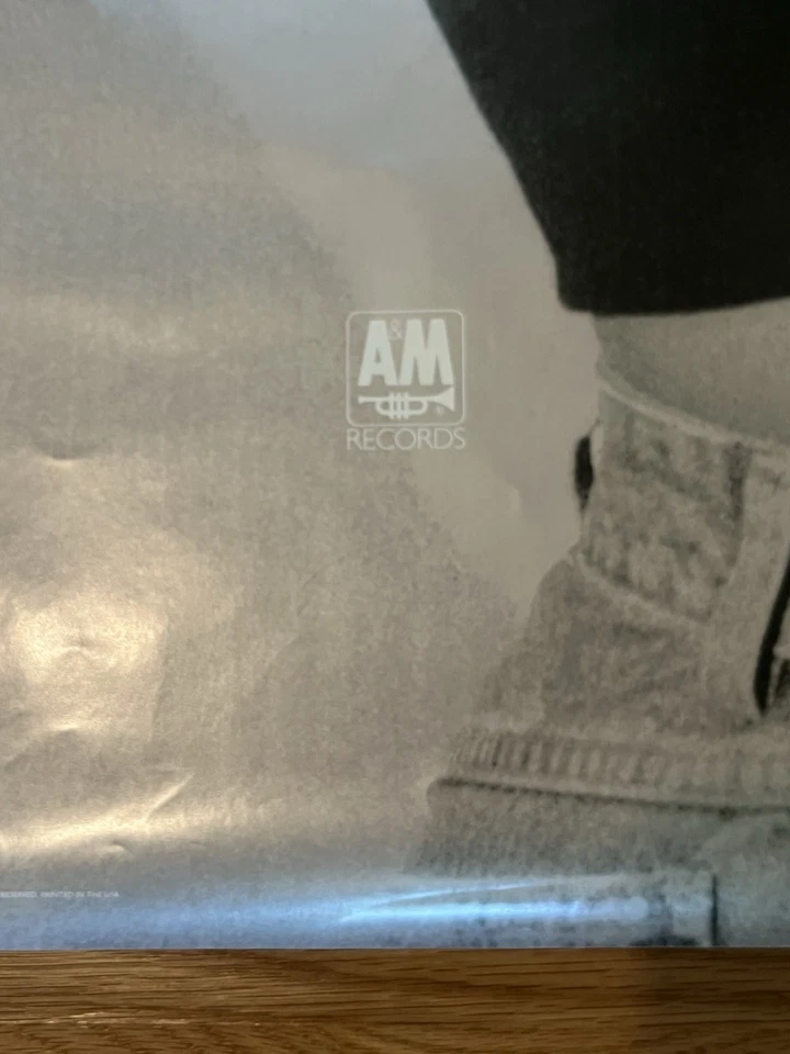 De colección 1990 Janet Jackson Promo Póster A&M Records - Sexy Jeans Halter Top 36x24" Foto 2 de 4