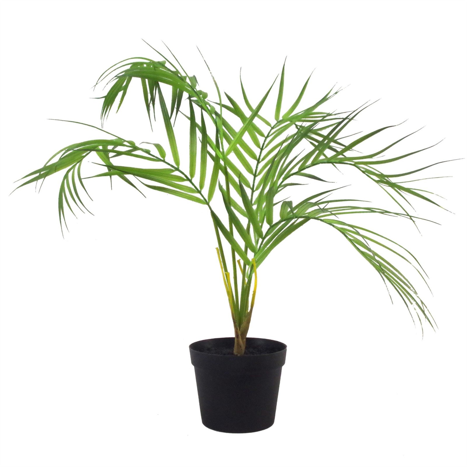 Leaf Artificial Palm Tree 50cm - Green/Black - Image 2