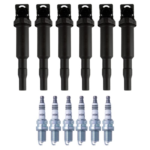 Bosch 6 Ignition Coil NGK 6 Iridium IX Spark Plug Kit For BMW E53 X5 3.