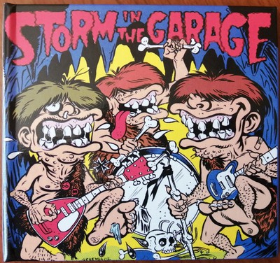 Various: ''Storm In The Garage'' (Garage Rock  CD Reissue)
