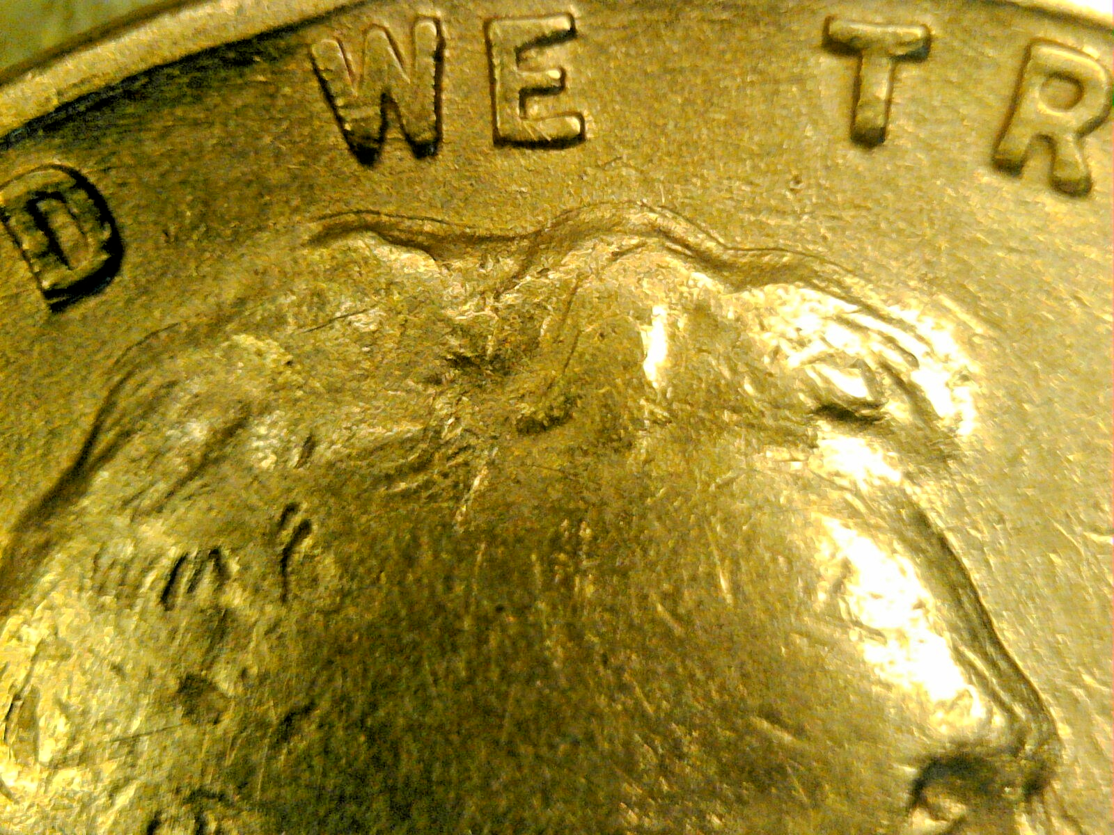 Picture 4 of 11