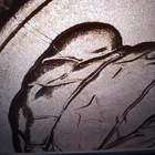 2026 P Emerging Liberty Dime Rim - Into Hair Die Crack Error BU Uncirculated #11