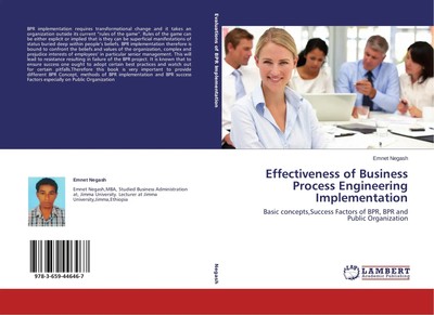 Emnet Negash | Effectiveness of Business Process Engineering Implementation