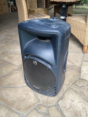 Mackie SRM450v2