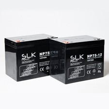 Pair 12 Volt Mobility Scooter Wheelchair Powerchair AGM/GEL Mobility Batteries