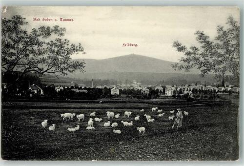 39398774 - 6232 moutons Bad Soden Feldberg 1910 - Photo 1 sur 2